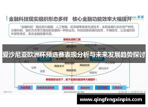 爱沙尼亚欧洲杯预选赛表现分析与未来发展趋势探讨